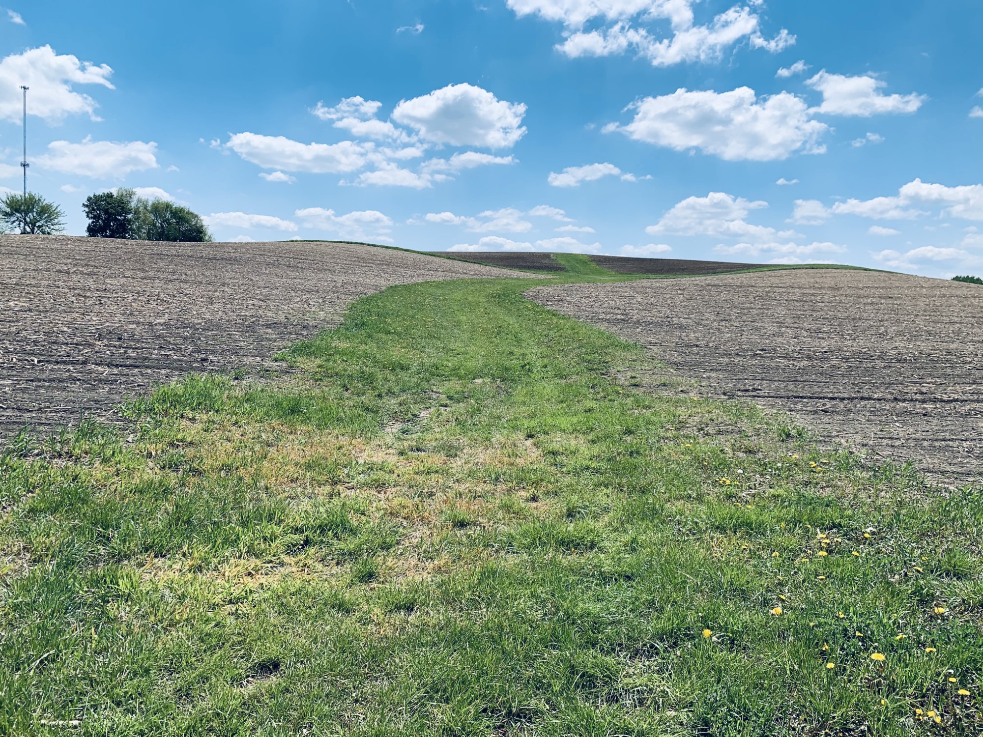Waterway in Dahlgren Township Carver County MN