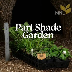Part_shade_garden-1