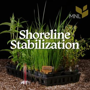 Shoreline-Stabilization-1