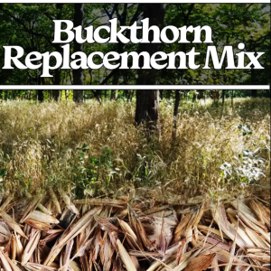 Buckthorn Replacement Seed Mix