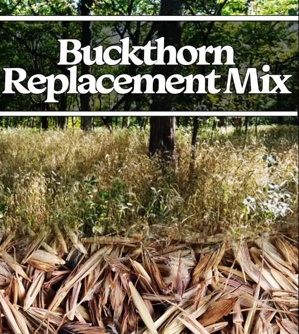 Buckthorn Replacement Seed Mix